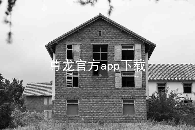 尊龙官方app下载