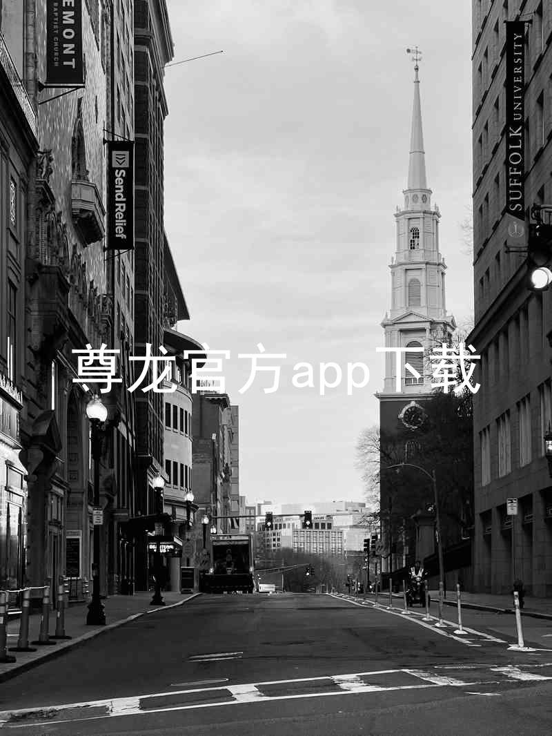 尊龙官方app下载